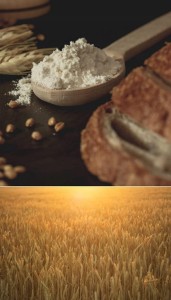 144a1ca85363711c24f537c605fd5b48