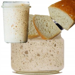 7a954ac3457d2ab995bd220c36b9185c