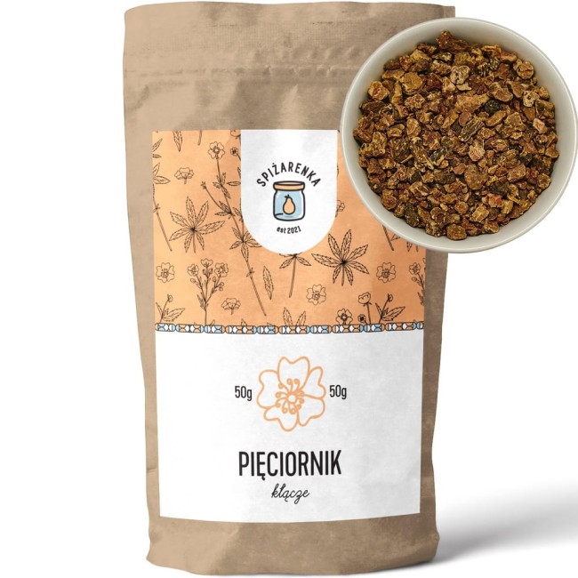 Przejdź do produktu PIĘCIORNIK kłącze 50g