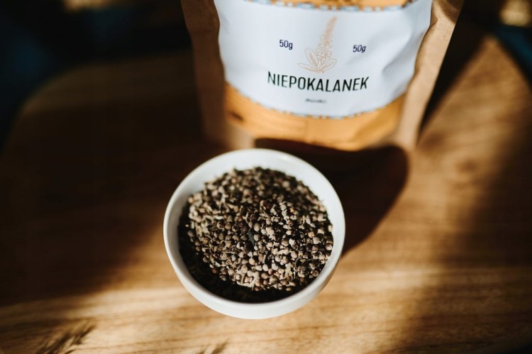 9632b1c72ee0d2899dc20c73cf8f37ce